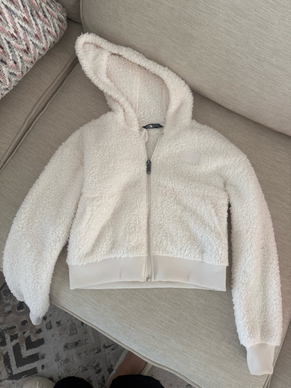 Cozy The Northfacr Teddy Fleece Zip Hoodie in Cream